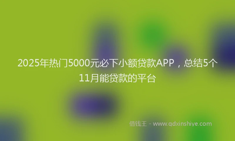 2025年热门5000元必下小额贷款APP，总结5个11月能贷款的平台