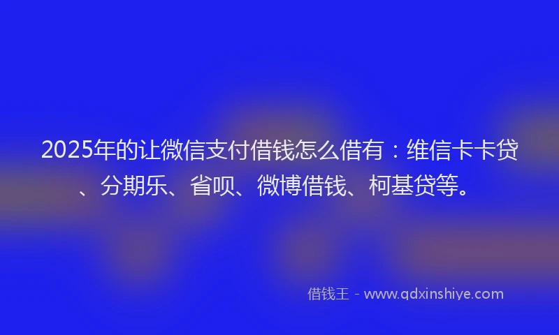2025年的让微信支付借钱怎么借有：维信卡卡贷、分期乐、省呗、微博借钱、柯基贷等。