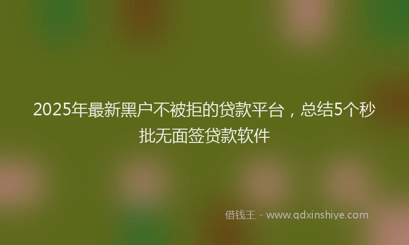 2025年最新黑户不被拒的贷款平台，总结5个秒批无面签贷款软件