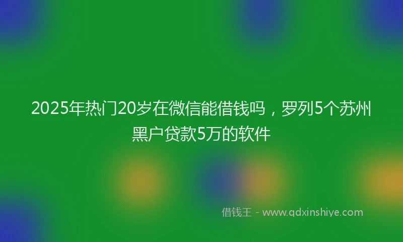2025年热门20岁在微信能借钱吗，罗列5个苏州黑户贷款5万的软件