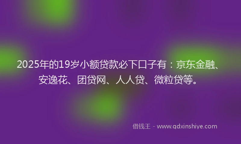 2025年的19岁小额贷款必下口子有：京东金融、安逸花、团贷网、人人贷、微粒贷等。