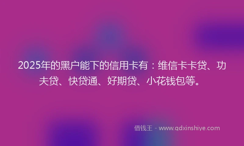 2025年的黑户能下的信用卡有：维信卡卡贷、功夫贷、快贷通、好期贷、小花钱包等。