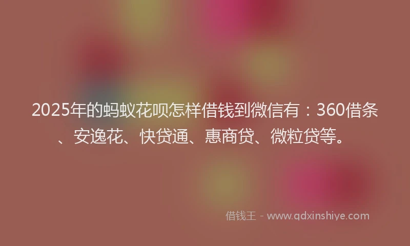 2025年的蚂蚁花呗怎样借钱到微信有：360借条、安逸花、快贷通、惠商贷、微粒贷等。