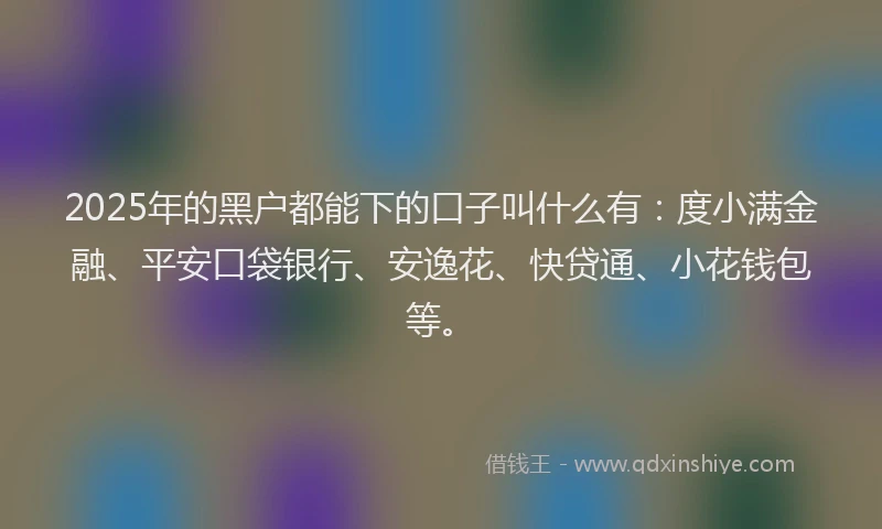 2025年的黑户都能下的口子叫什么有：度小满金融、平安口袋银行、安逸花、快贷通、小花钱包等。