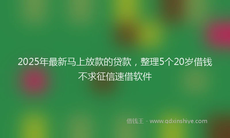 2025年最新马上放款的贷款，整理5个20岁借钱不求征信速借软件