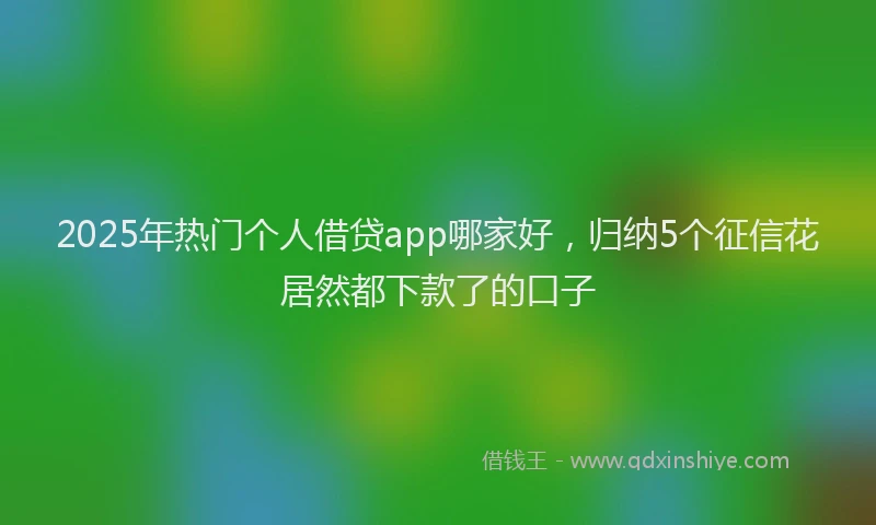 2025年热门个人借贷app哪家好，归纳5个征信花居然都下款了的口子