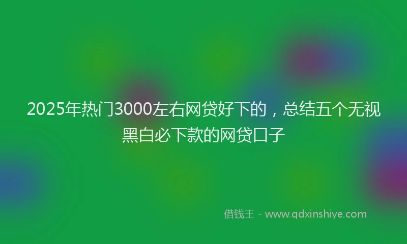 2025年热门3000左右网贷好下的，总结五个无视黑白必下款的网贷口子