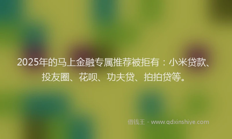 2025年的马上金融专属推荐被拒有：小米贷款、投友圈、花呗、功夫贷、拍拍贷等。