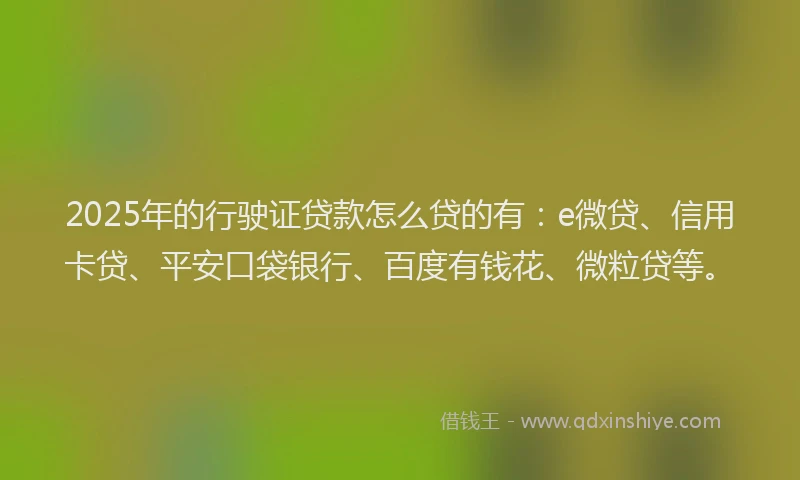 2025年的行驶证贷款怎么贷的有：e微贷、信用卡贷、平安口袋银行、百度有钱花、微粒贷等。