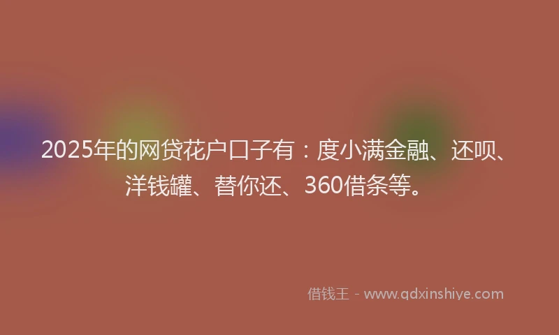 2025年的网贷花户口子有：度小满金融、还呗、洋钱罐、替你还、360借条等。