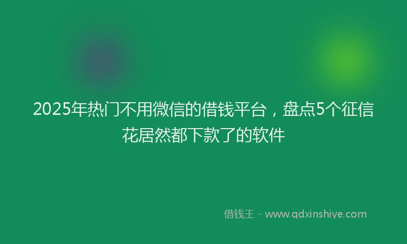 2025年热门不用微信的借钱平台，盘点5个征信花居然都下款了的软件