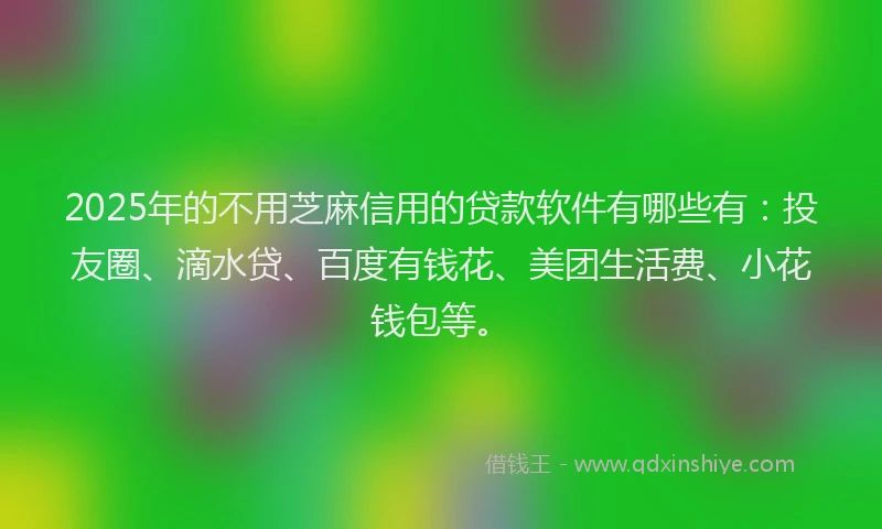 2025年的不用芝麻信用的贷款软件有哪些有：投友圈、滴水贷、百度有钱花、美团生活费、小花钱包等。