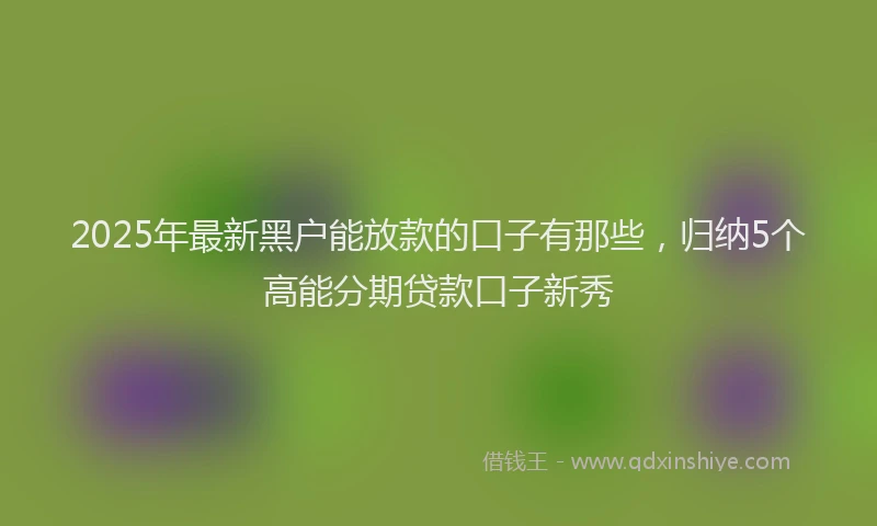 2025年最新黑户能放款的口子有那些，归纳5个高能分期贷款口子新秀