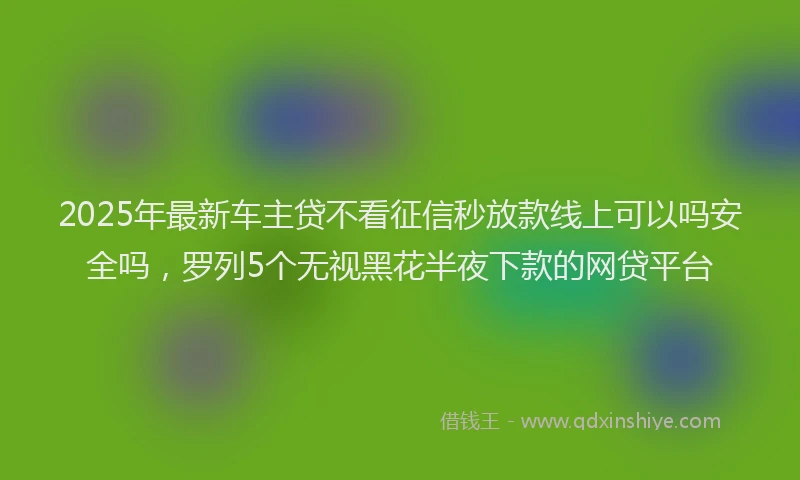 2025年最新车主贷不看征信秒放款线上可以吗安全吗，罗列5个无视黑花半夜下款的网贷平台