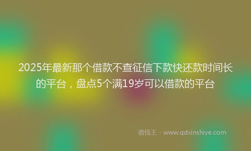 2025年最新那个借款不查征信下款快还款时间长的平台，盘点5个满19岁可以借款的平台