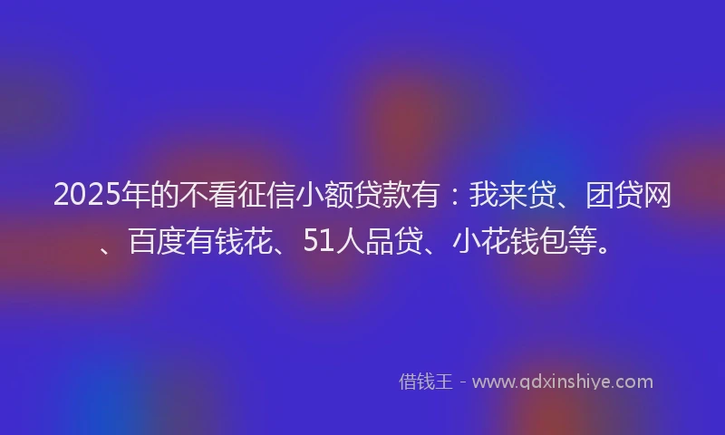 2025年的不看征信小额贷款有：我来贷、团贷网、百度有钱花、51人品贷、小花钱包等。