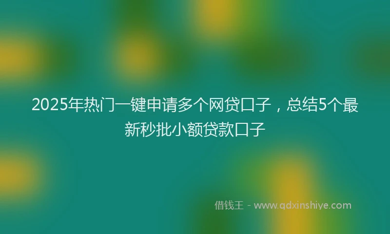 2025年热门一键申请多个网贷口子，总结5个最新秒批小额贷款口子