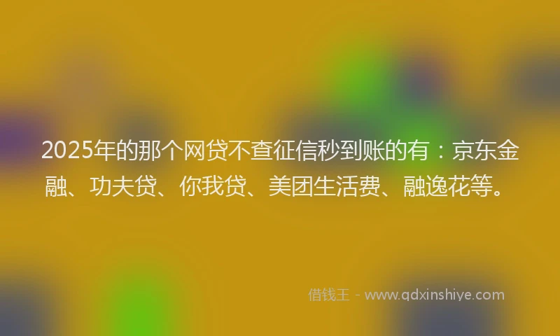 2025年的那个网贷不查征信秒到账的有：京东金融、功夫贷、你我贷、美团生活费、融逸花等。