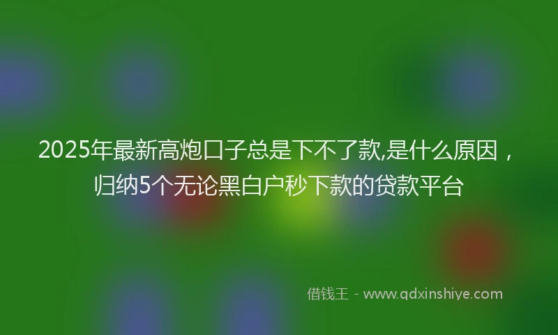 2025年最新高炮口子总是下不了款,是什么原因，归纳5个无论黑白户秒下款的贷款平台
