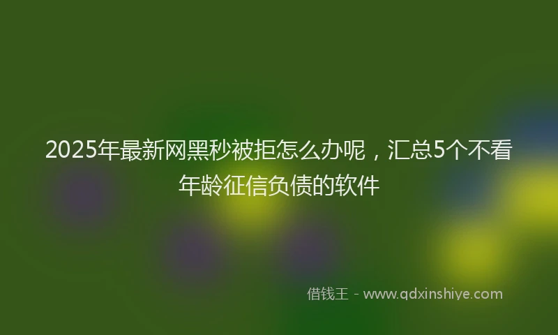 2025年最新网黑秒被拒怎么办呢，汇总5个不看年龄征信负债的软件