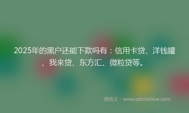 2025年的黑户还能下款吗有：信用卡贷、洋钱罐、我来贷、东方汇、微粒贷等。