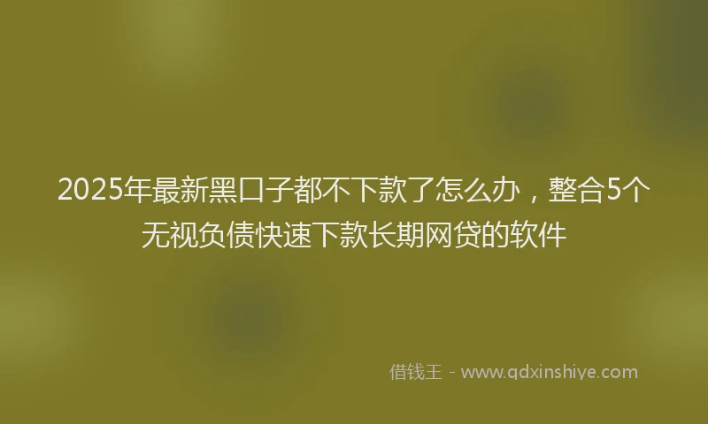 2025年最新黑口子都不下款了怎么办，整合5个无视负债快速下款长期网贷的软件