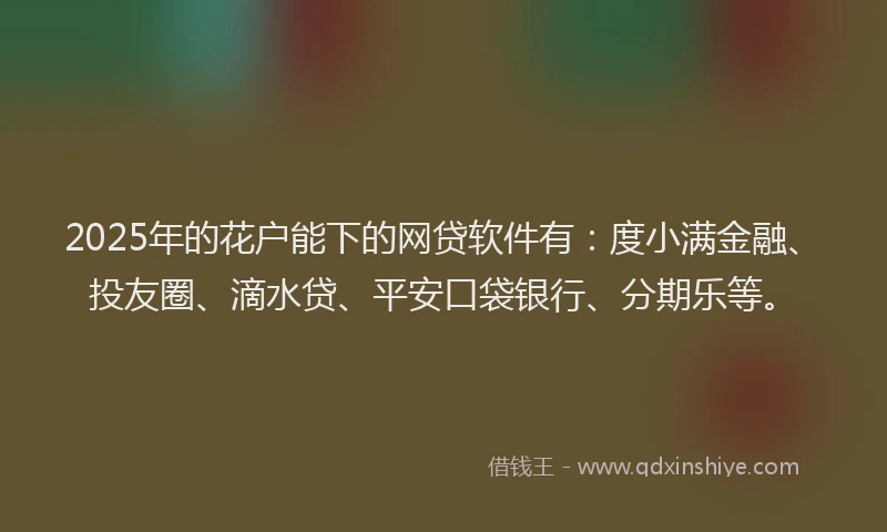 2025年的花户能下的网贷软件有：度小满金融、投友圈、滴水贷、平安口袋银行、分期乐等。