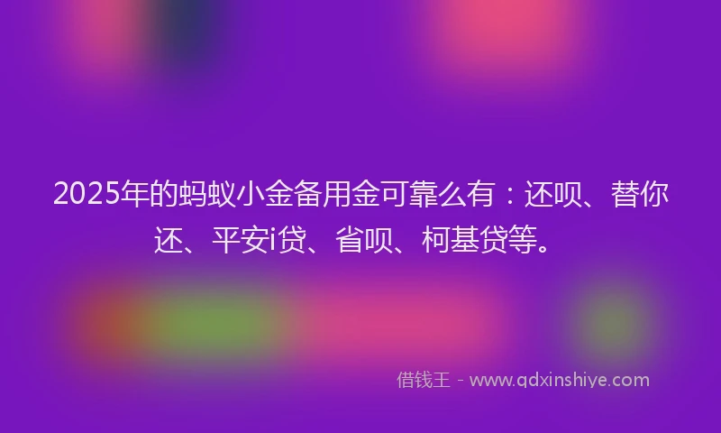 2025年的蚂蚁小金备用金可靠么有：还呗、替你还、平安i贷、省呗、柯基贷等。