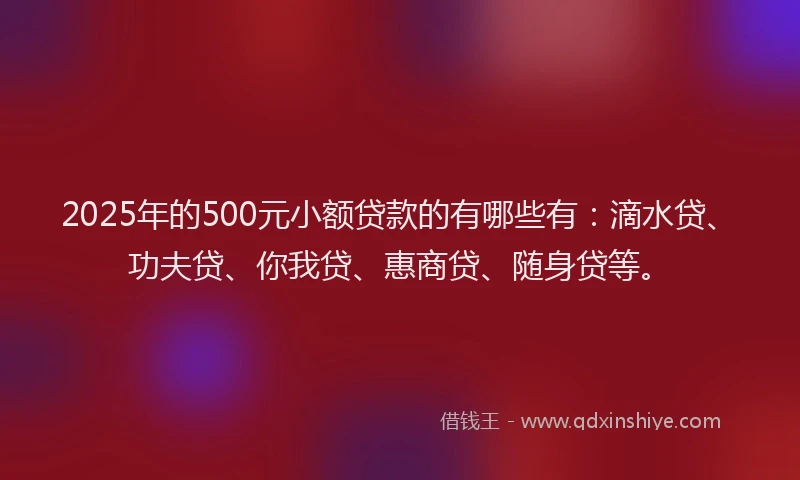 2025年的500元小额贷款的有哪些有：滴水贷、功夫贷、你我贷、惠商贷、随身贷等。