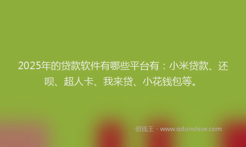 2025年的贷款软件有哪些平台有：小米贷款、还呗、超人卡、我来贷、小花钱包等。