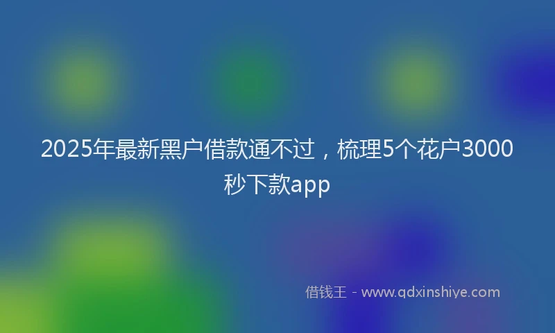 2025年最新黑户借款通不过，梳理5个花户3000秒下款app