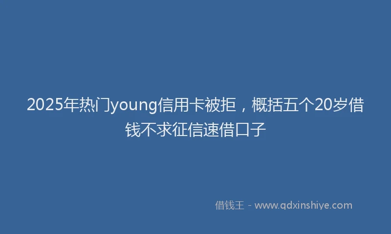2025年热门young信用卡被拒，概括五个20岁借钱不求征信速借口子