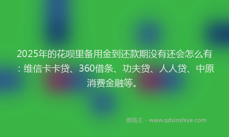2025年的花呗里备用金到还款期没有还会怎么有：维信卡卡贷、360借条、功夫贷、人人贷、中原消费金融等。