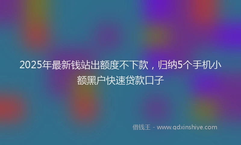 2025年最新钱站出额度不下款，归纳5个手机小额黑户快速贷款口子