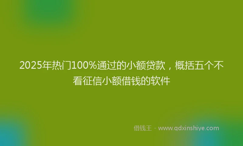 2025年热门100%通过的小额贷款，概括五个不看征信小额借钱的软件