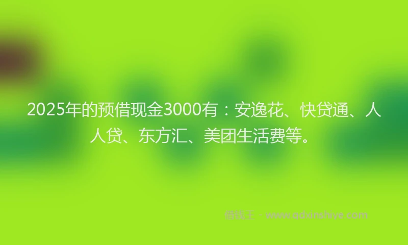 2025年的预借现金3000有：安逸花、快贷通、人人贷、东方汇、美团生活费等。