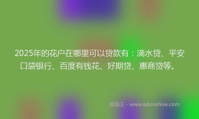 2025年的花户在哪里可以贷款有：滴水贷、平安口袋银行、百度有钱花、好期贷、惠商贷等。