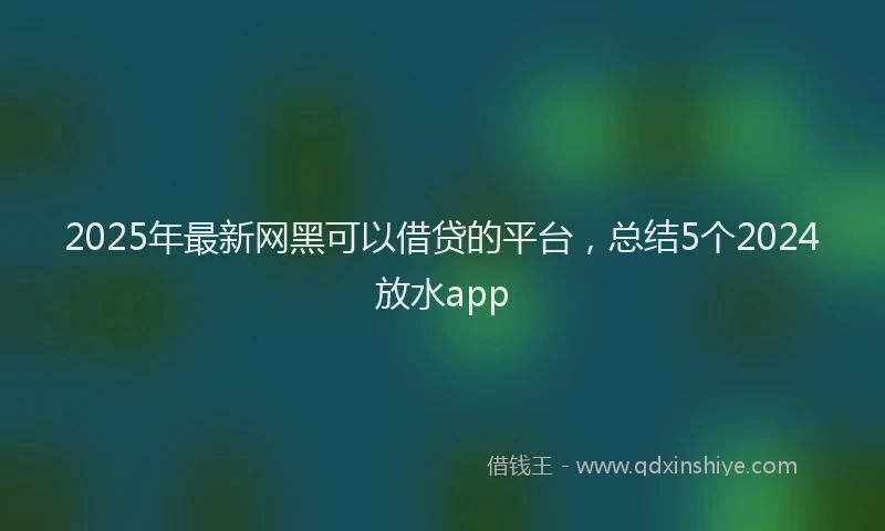 2025年最新网黑可以借贷的平台，总结5个2024放水app