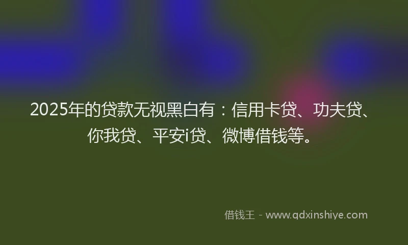 2025年的贷款无视黑白有：信用卡贷、功夫贷、你我贷、平安i贷、微博借钱等。