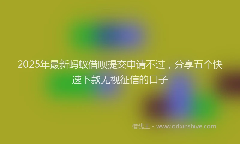 2025年最新蚂蚁借呗提交申请不过，分享五个快速下款无视征信的口子
