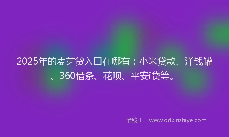 2025年的麦芽贷入口在哪有：小米贷款、洋钱罐、360借条、花呗、平安i贷等。