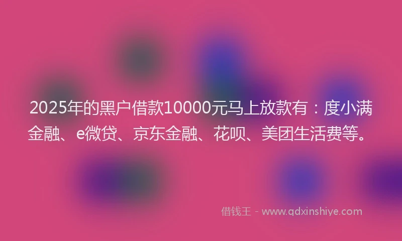 2025年的黑户借款10000元马上放款有：度小满金融、e微贷、京东金融、花呗、美团生活费等。