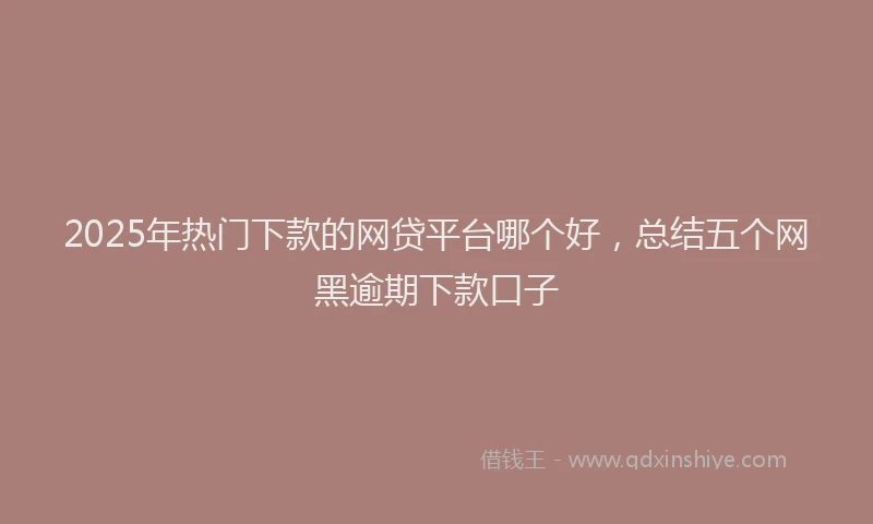 2025年热门下款的网贷平台哪个好，总结五个网黑逾期下款口子