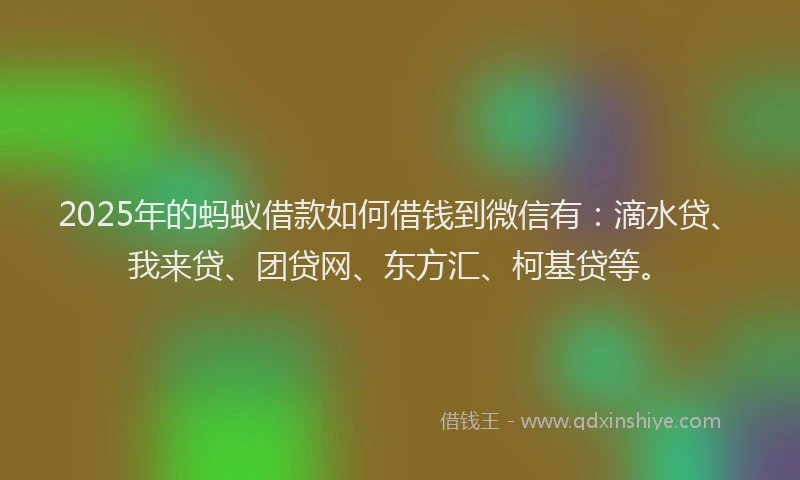 2025年的蚂蚁借款如何借钱到微信有：滴水贷、我来贷、团贷网、东方汇、柯基贷等。