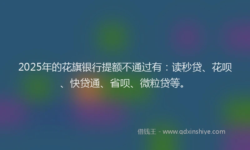 2025年的花旗银行提额不通过有：读秒贷、花呗、快贷通、省呗、微粒贷等。
