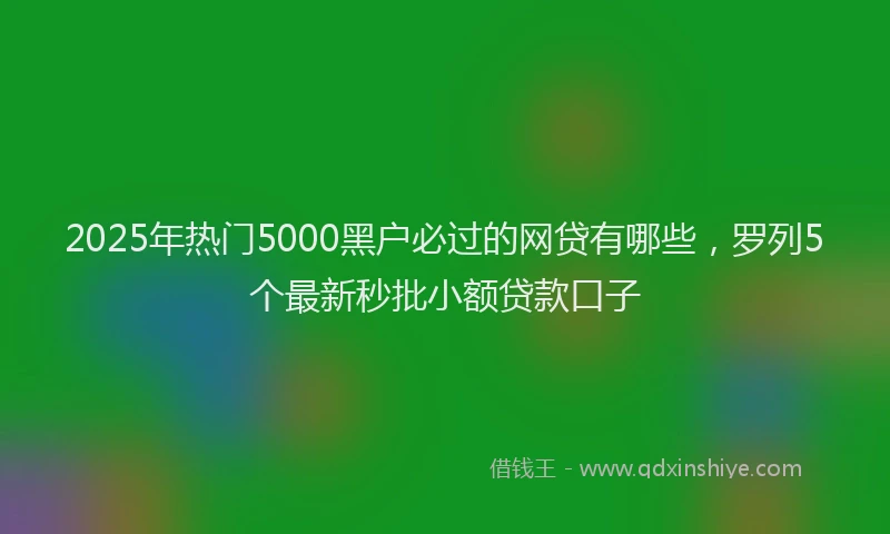2025年热门5000黑户必过的网贷有哪些，罗列5个最新秒批小额贷款口子