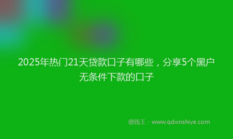 2025年热门21天贷款口子有哪些，分享5个黑户无条件下款的口子