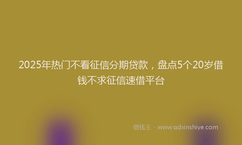 2025年热门不看征信分期贷款，盘点5个20岁借钱不求征信速借平台