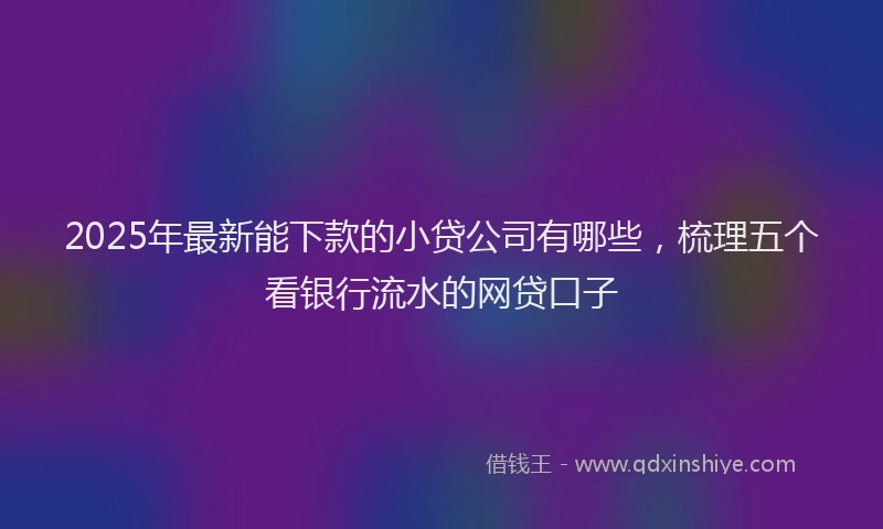 2025年最新能下款的小贷公司有哪些，梳理五个看银行流水的网贷口子