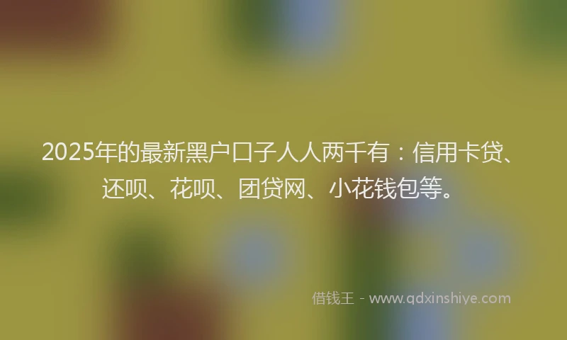 2025年的最新黑户口子人人两千有：信用卡贷、还呗、花呗、团贷网、小花钱包等。